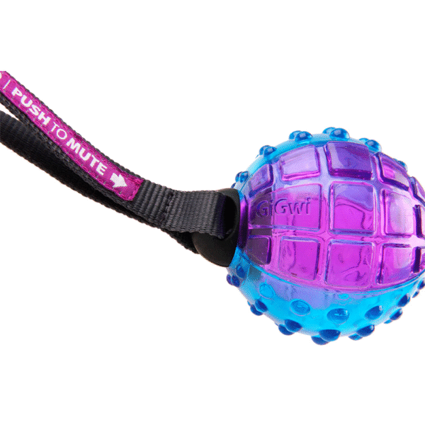 GiGwi Regular Ball Push To Mute Morado y Azul