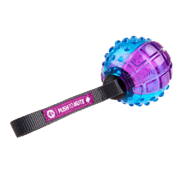 GiGwi Regular Ball Push To Mute Morado y Azul