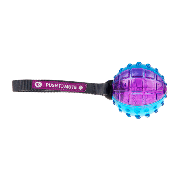 GiGwi Regular Ball Push To Mute Morado y Azul