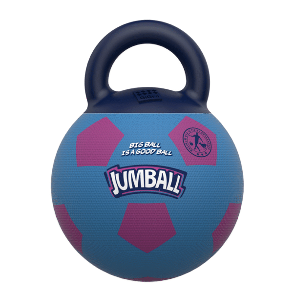 Gigwi Jumball Pelota de Fútbol con Asa Azul y Morado