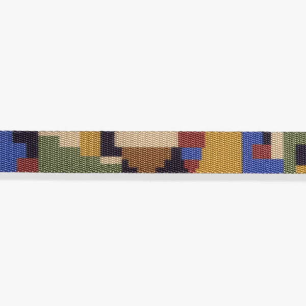 Zeedog-Pixel-Correa