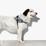 Zeedog-Urban-FlyHarness