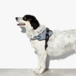 Zeedog-Urban-FlyHarness