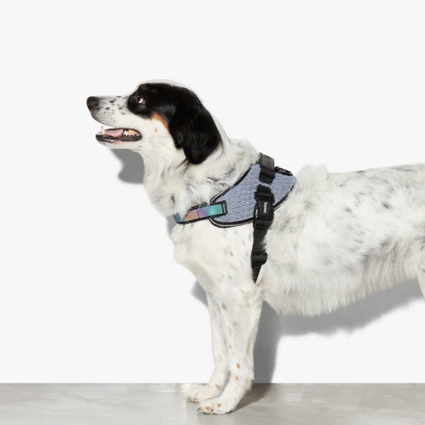 Zeedog-Urban-FlyHarness