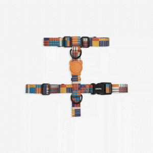 Zeedog-Wes-H-Harness