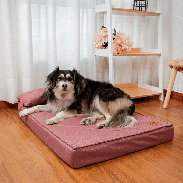 Pretty-Pet-Cama-Strada