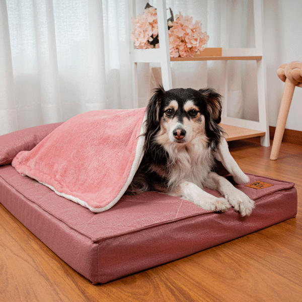 Pretty-Pet-Cama-Strada-Rose-1