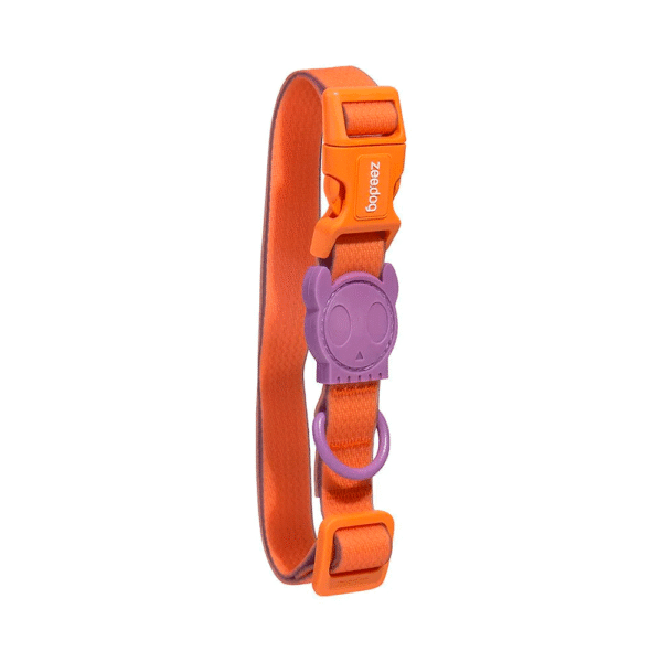 Zeedog-Neopro-Iris-Dog-Collar-1