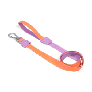 Zeedog-Neopro-Iris-Dog-Correa