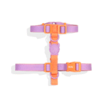 Zeedog-Neopro-Iris-Dog-H-Harness