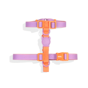 Zeedog-Neopro-Iris-Dog-H-Harness