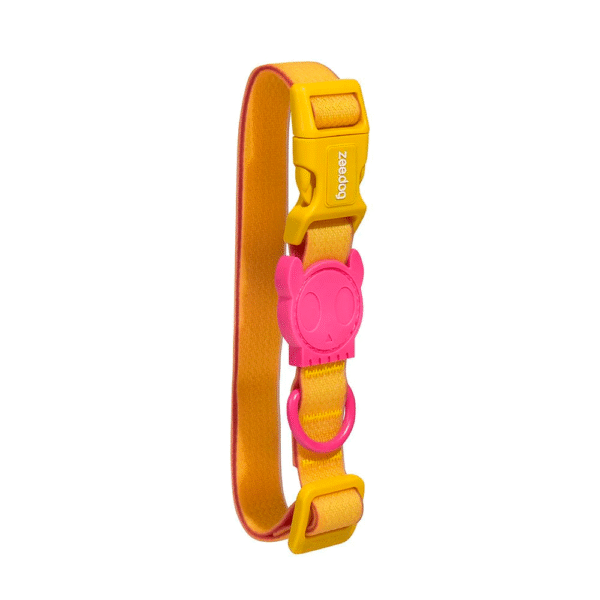 Zeedog-Neopro-Lyra-Dog-Collar-1