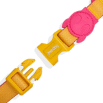 Zeedog-Neopro-Lyra-Dog-Collar-2