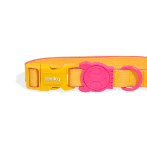 Zeedog-Neopro-Lyra-Dog-Collar-3
