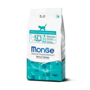 Monge Feline Kitten