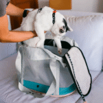 Zeedog-Carrier-Bag-Kombucha