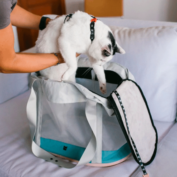 Zeedog-Carrier-Bag-Kombucha