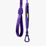 Zeedog-Violet-Airleash