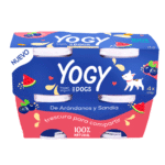 Yogy-Arandanos-y-Sandia