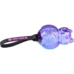 GiGwi Owl Push To Mute transparent purple blue