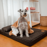 Pretty-Pet-Cama-Strada-Marron