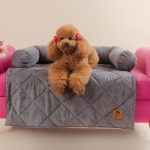 Pretty Pet Cobertor Gris-1