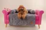 Pretty Pet Cobertor Gris-1