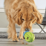 Brightkins Cactus Surprise Treat Dispenser Perro