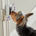 Hunger for Words Talking Pet Doorbell Perro