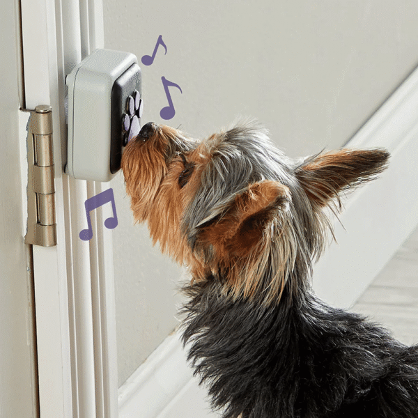 Hunger for Words Talking Pet Doorbell Perro
