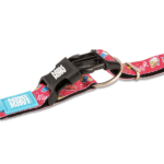 Max-&-Molly-Collar-Magical-Gancho