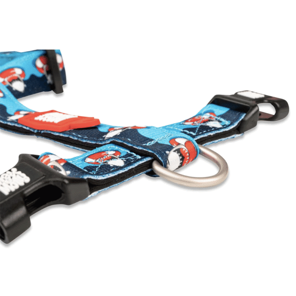 Max-&-Molly-H-Harness-Frenzy-The-Shark-Gancho