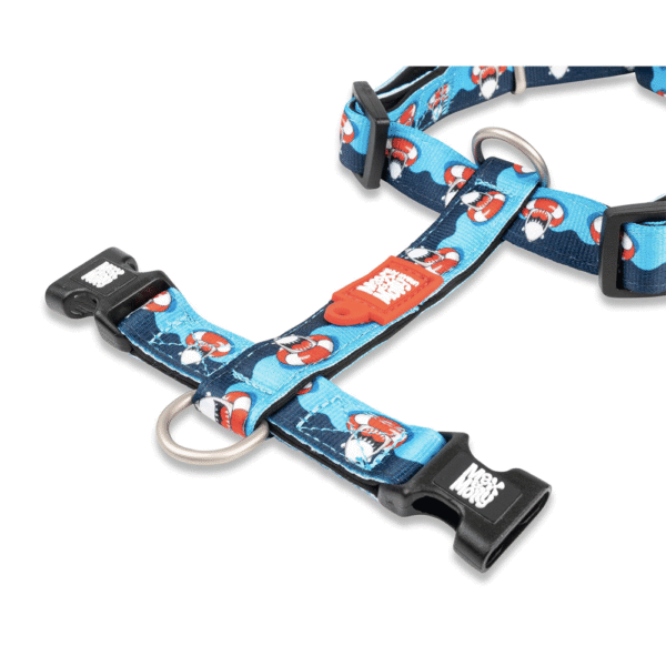 Max-&-Molly-H-Harness-Frenzy-The-Shark-Abierto