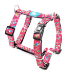 Max-&-Molly-H-Harness-Magical-Completo