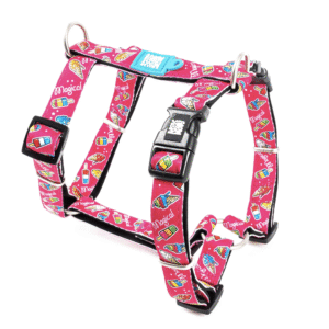Max-&-Molly-H-Harness-Magical-Completo