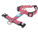 Max-&-Molly-H-Harness-Magical-Abierto