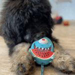Max & Molly Snuggles Toy Bubba King Perro