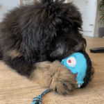 Max & Molly Snuggles Toy Bubba King Perro Mordedor