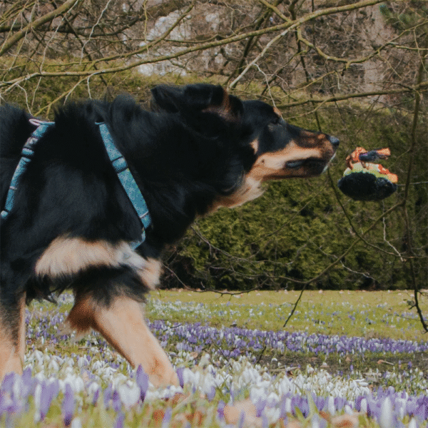 Max & Molly Snuggles Toy Otto The Dino Perro Corriendo