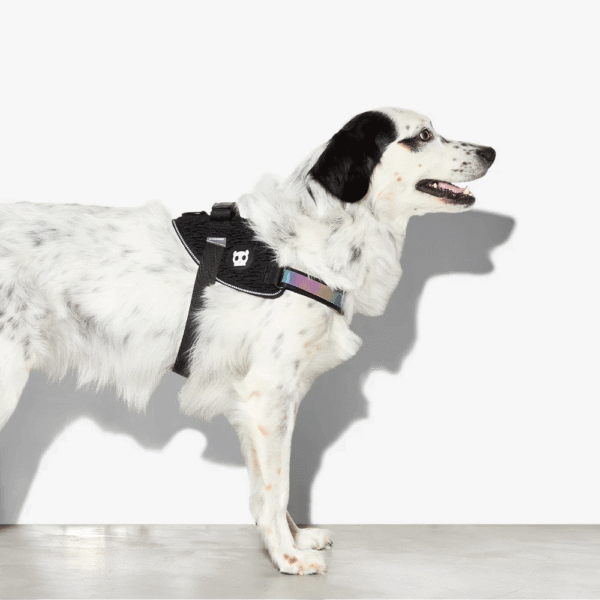Zeedog-Gotham-FlyHarness