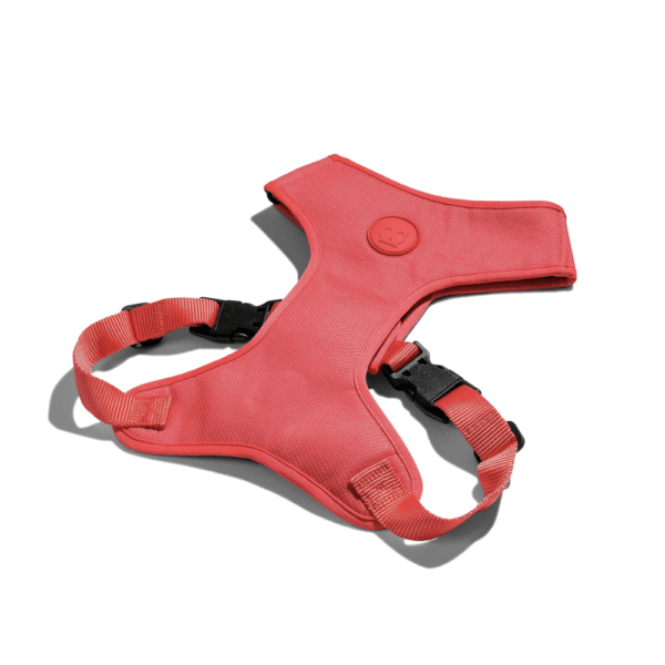 Zeedog-Neon-Coral-Pechera-Air-Mesh