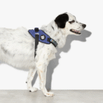 Zeedog-Wicked-FlyHarness