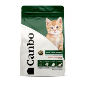 Canbo Cat Initial Development Cachorros
