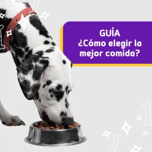 Guía para Elegir la Comida Ideal para tu Perro