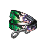 Waudog Correa Riddler DC Comics