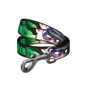 Waudog Correa Riddler DC Comics