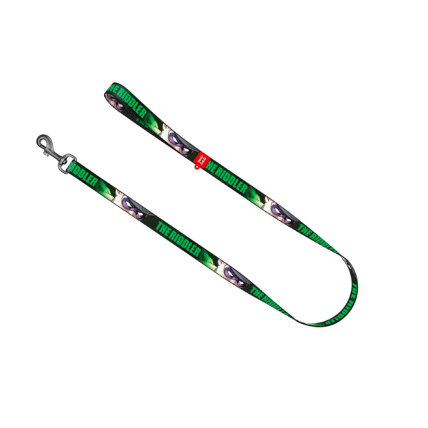 Waudog Correa Riddler DC Comics