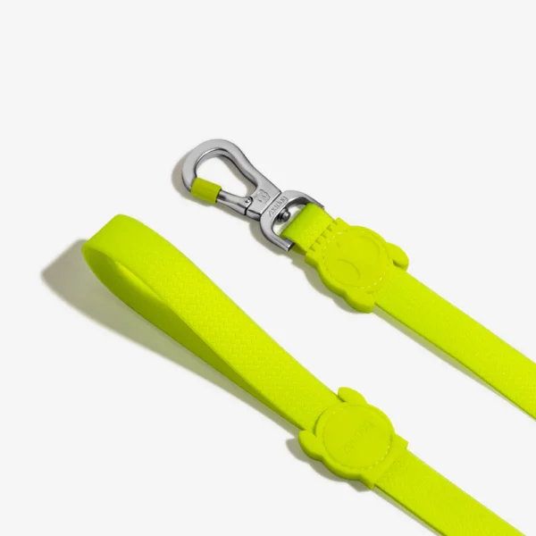 Zeedog Neopro Lime Correa