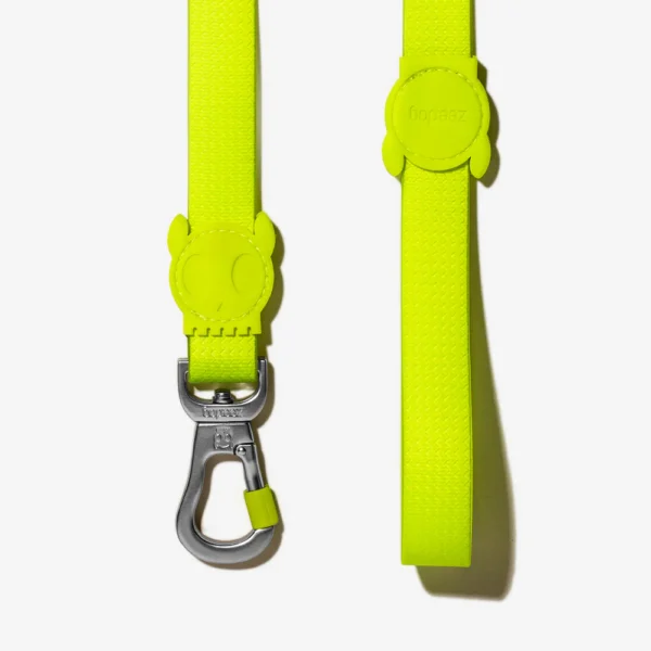 Zeedog Neopro Lime Correa