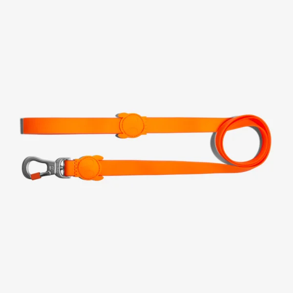 Zeedog Neopro Tangerine Correa